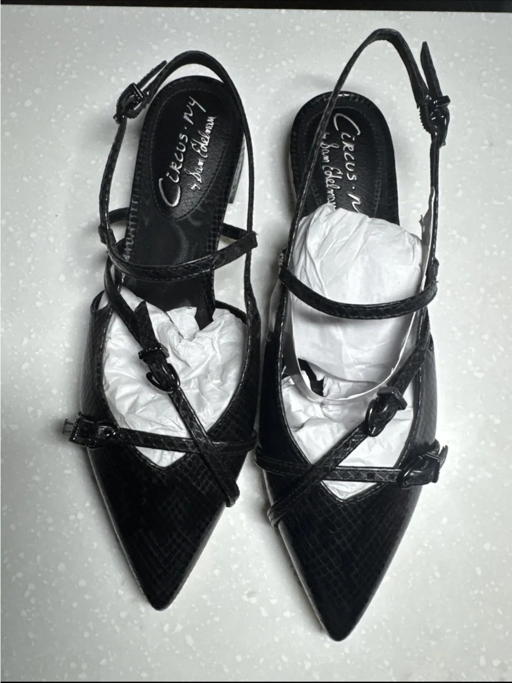 Sam Edelman sleek pointed